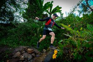 BIB: 1596, 
                            <button type="button" onclick="openModal(15974595)" class="btn btn-primary btn-sm float-right btn-popup" data-toggle="modal" data-target=".modal-high-quality">
                        <i class="fas fa-shopping-cart"></i> Add to Cart
                    </button>
                                            <button type="button" onclick="isThisMe(15974595, true)" class="btn btn-success btn-sm float-right btn-popup btn-isme hidden" data-toggle="tooltip" data-placement="bottom" title="นี่คือรูปของคุณใช่ไหม คลิกที่นี่เพื่อเอาเข้าอัลบั้ม">
                        <i class="fas fa-plus"></i> Add to album
                    </button>
                    <button type="button" onclick="isThisMe(15974595, false)" class="btn btn-warning btn-sm float-right btn-popup btn-isnotme hidden">
                        <i class="fas fa-ban"></i> Remove from album
                    </button>